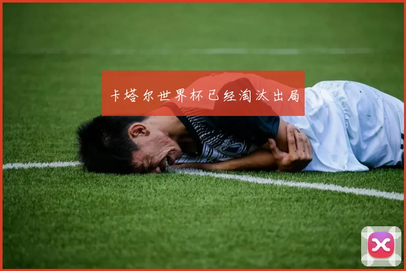 卡塔尔世界杯已经淘汰出局