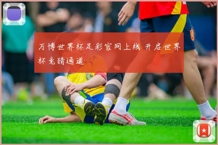 万博世界杯足彩官网上线 开启世界杯竞猜通道