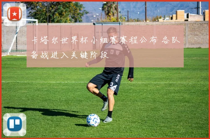 卡塔尔世界杯小组赛赛程公布 各队备战进入关键阶段