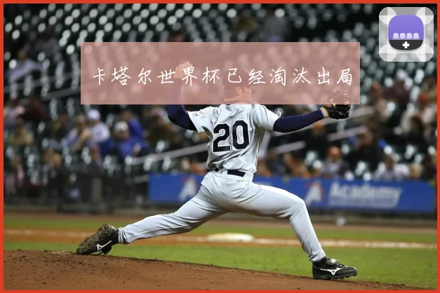 卡塔尔世界杯已经淘汰出局